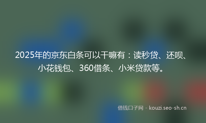 2025年的京东白条可以干嘛有：读秒贷、还呗、小花钱包、360借条、小米贷款等。