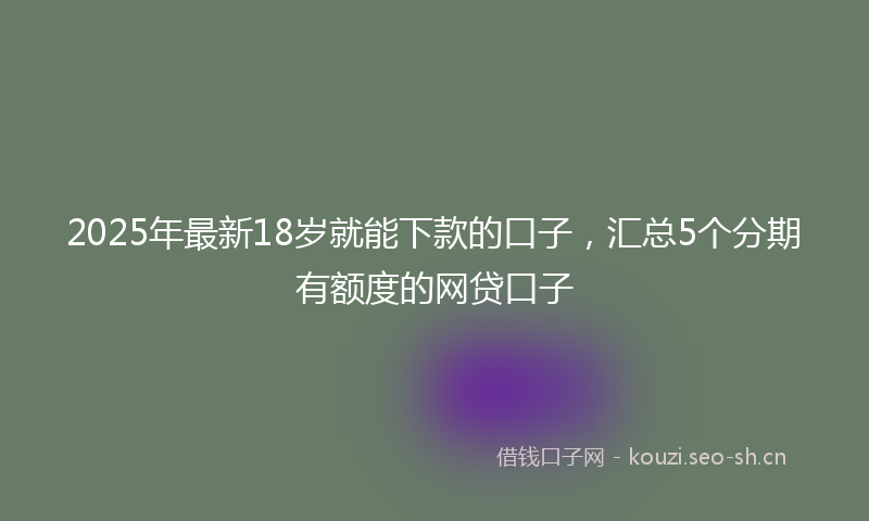 2025年最新18岁就能下款的口子，汇总5个分期有额度的网贷口子