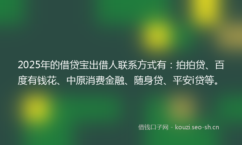 2025年的借贷宝出借人联系方式有：拍拍贷、百度有钱花、中原消费金融、随身贷、平安i贷等。
