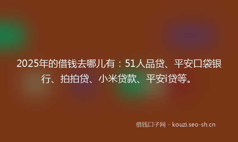 2025年的借钱去哪儿有：51人品贷、平安口袋银行、拍拍贷、小米贷款、平安i贷等。