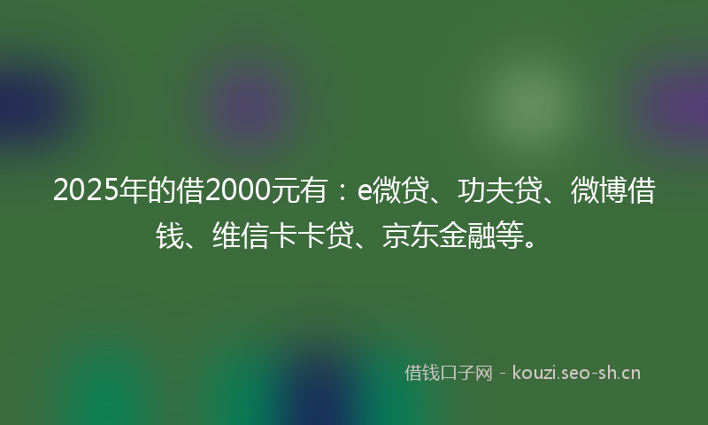 2025年的借2000元有：e微贷、功夫贷、微博借钱、维信卡卡贷、京东金融等。