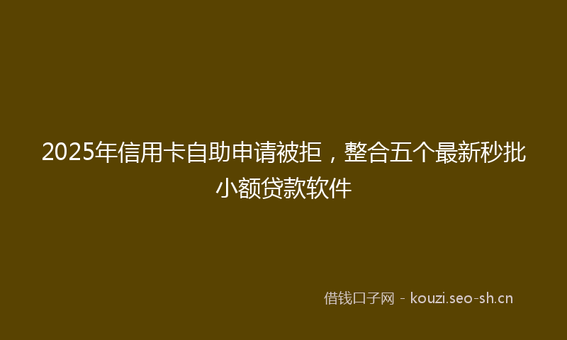 2025年信用卡自助申请被拒，整合五个最新秒批小额贷款软件