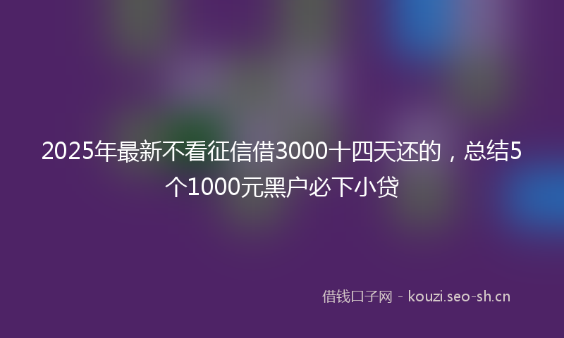 2025年最新不看征信借3000十四天还的，总结5个1000元黑户必下小贷