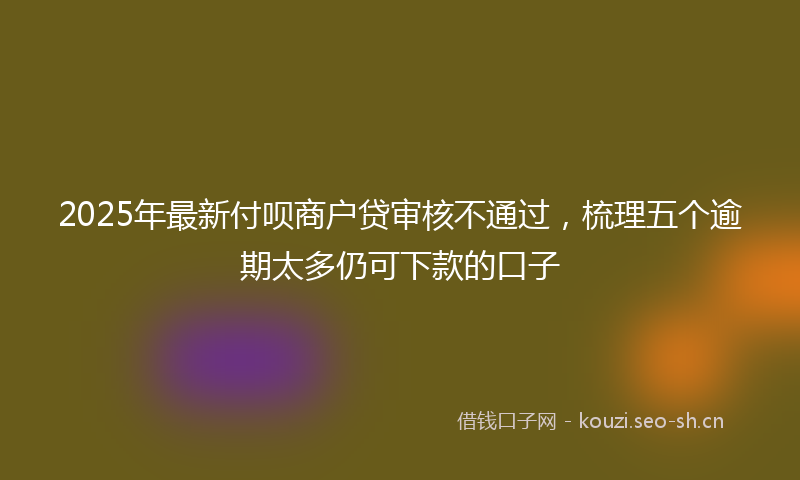 2025年最新付呗商户贷审核不通过，梳理五个逾期太多仍可下款的口子