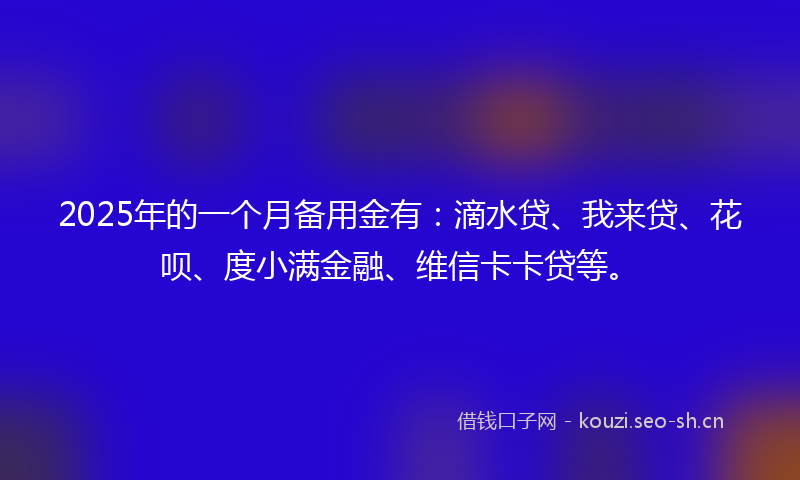 2025年的一个月备用金有：滴水贷、我来贷、花呗、度小满金融、维信卡卡贷等。