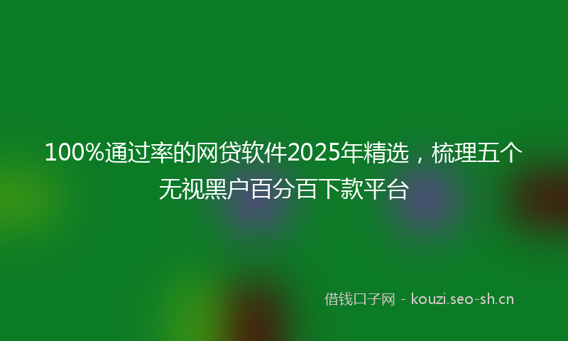 100%通过率的网贷软件2025年精选，梳理五个无视黑户百分百下款平台