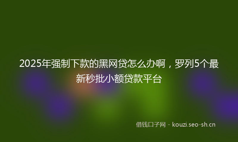 2025年强制下款的黑网贷怎么办啊，罗列5个最新秒批小额贷款平台