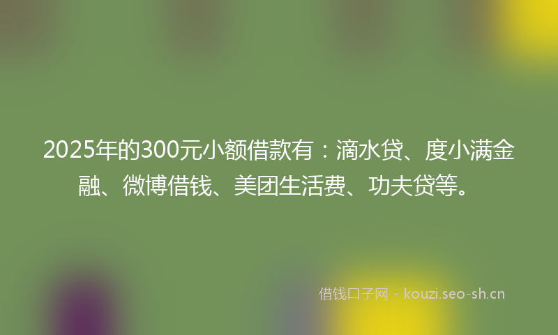 2025年的300元小额借款有：滴水贷、度小满金融、微博借钱、美团生活费、功夫贷等。