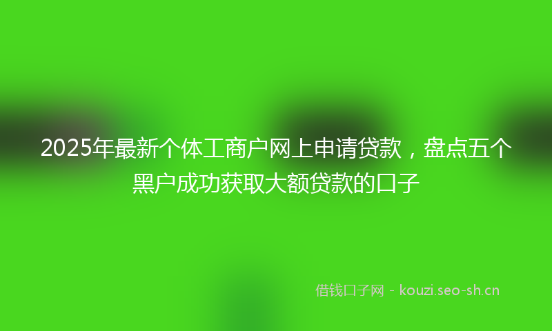2025年最新个体工商户网上申请贷款，盘点五个黑户成功获取大额贷款的口子