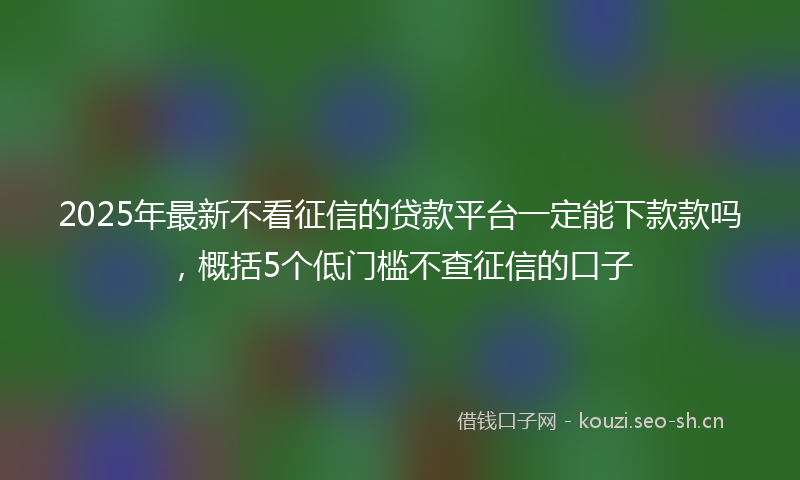 2025年最新不看征信的贷款平台一定能下款款吗，概括5个低门槛不查征信的口子