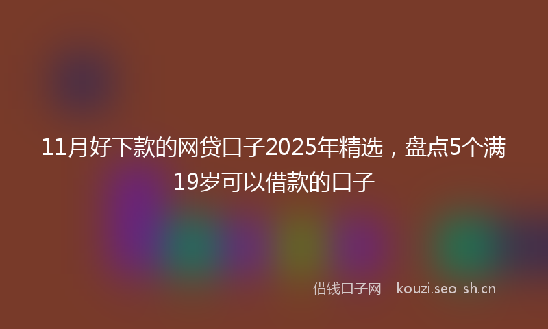 11月好下款的网贷口子2025年精选，盘点5个满19岁可以借款的口子