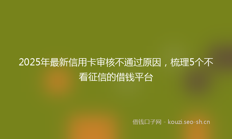 2025年最新信用卡审核不通过原因，梳理5个不看征信的借钱平台