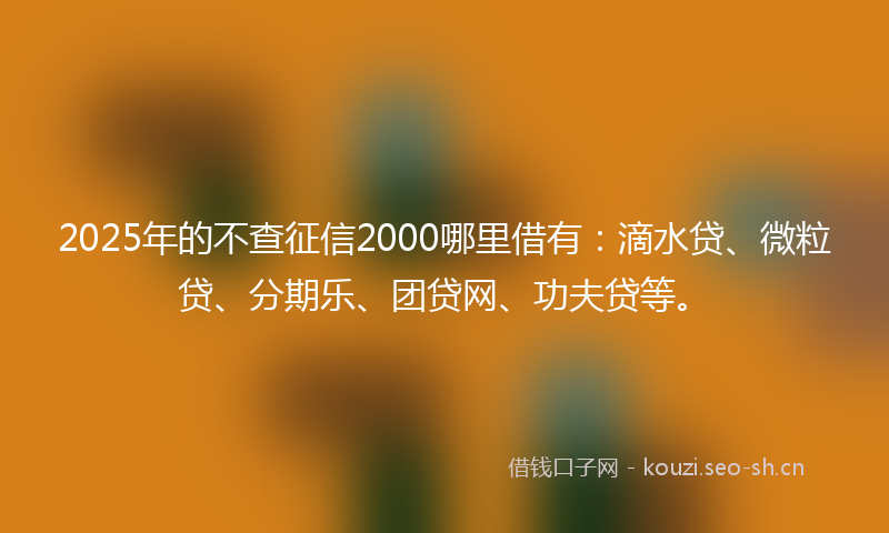 2025年的不查征信2000哪里借有：滴水贷、微粒贷、分期乐、团贷网、功夫贷等。