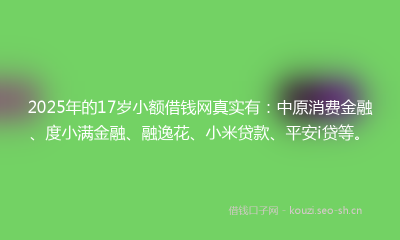 2025年的17岁小额借钱网真实有：中原消费金融、度小满金融、融逸花、小米贷款、平安i贷等。