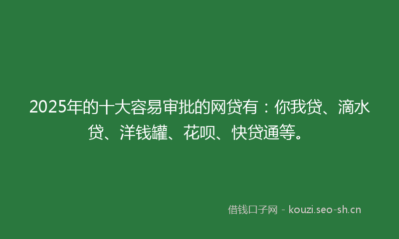 2025年的十大容易审批的网贷有：你我贷、滴水贷、洋钱罐、花呗、快贷通等。
