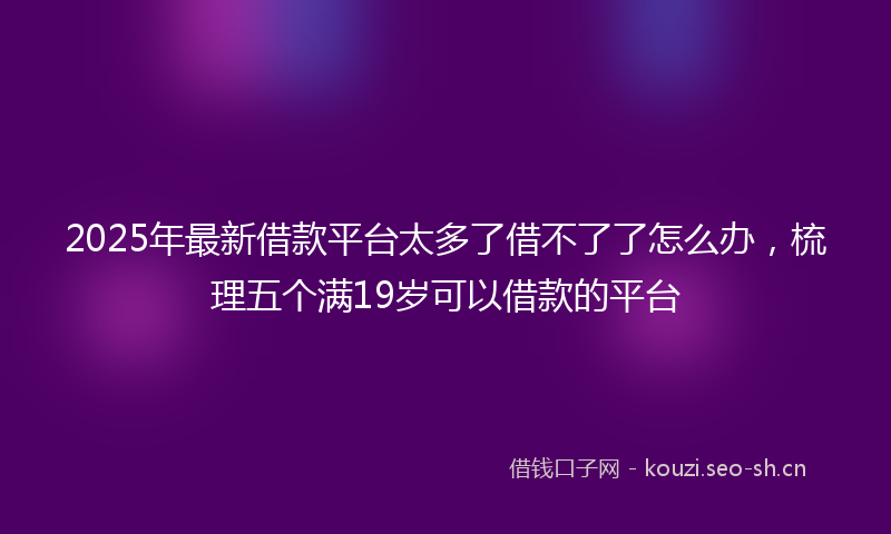 2025年最新借款平台太多了借不了了怎么办,梳理五个满19岁可以借款的平台