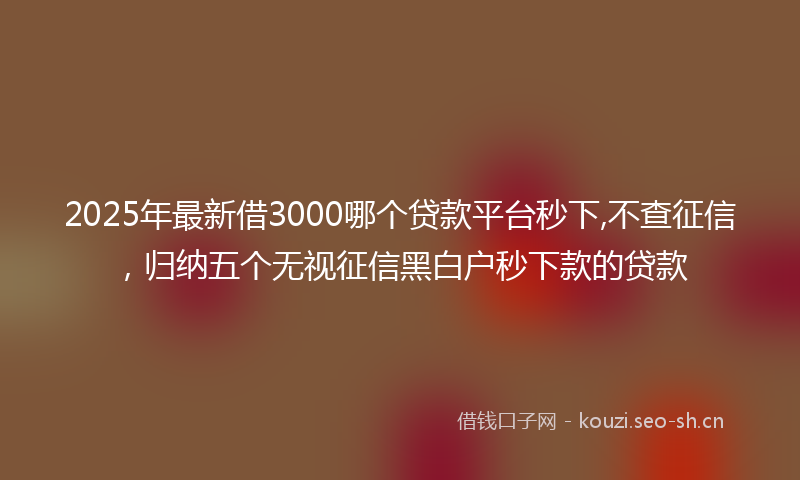 2025年最新借3000哪个贷款平台秒下,不查征信，归纳五个无视征信黑白户秒下款的贷款