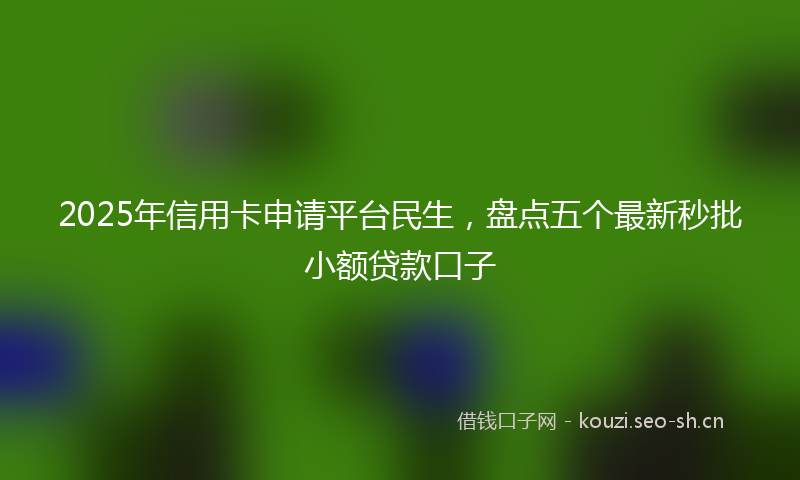 2025年信用卡申请平台民生，盘点五个最新秒批小额贷款口子