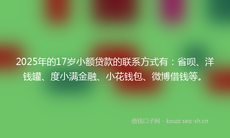 2025年的17岁小额贷款的联系方式有：省呗、洋钱罐、度小满金融、小花钱包、微博借钱等。