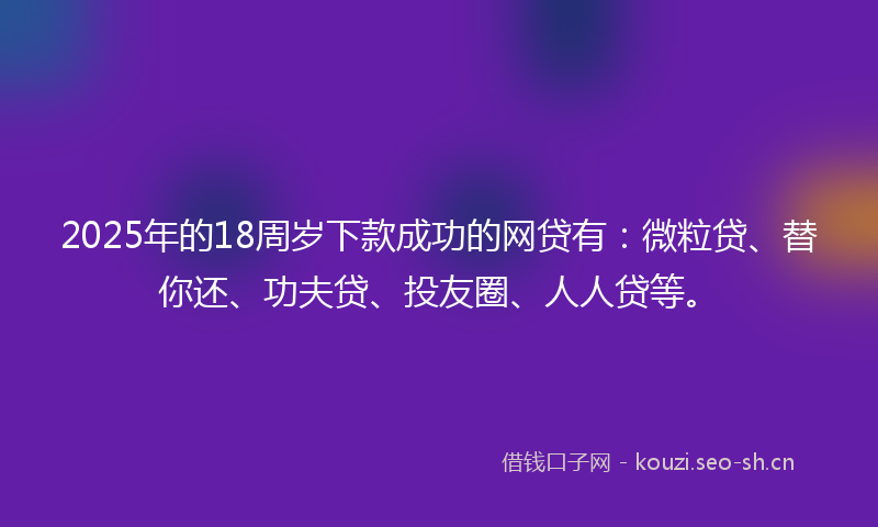 2025年的18周岁下款成功的网贷有：微粒贷、替你还、功夫贷、投友圈、人人贷等。