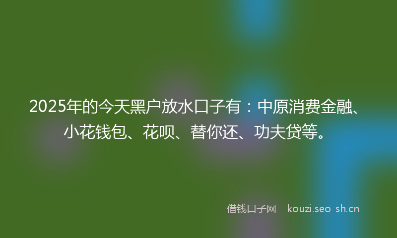 2025年的今天黑户放水口子有：中原消费金融、小花钱包、花呗、替你还、功夫贷等。