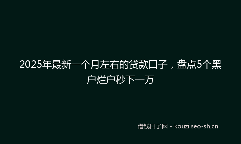 2025年最新一个月左右的贷款口子，盘点5个黑户烂户秒下一万