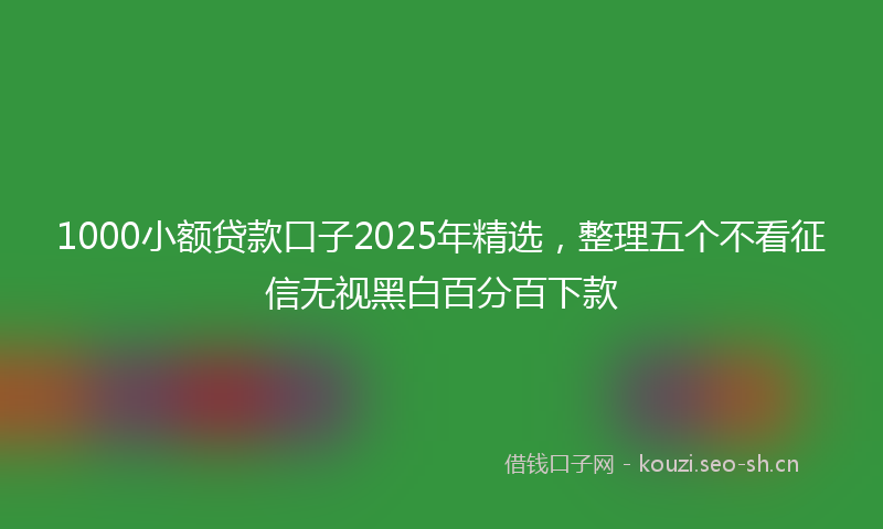 1000小额贷款口子2025年精选，整理五个不看征信无视黑白百分百下款