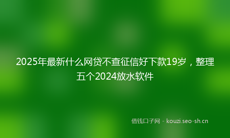 2025年最新什么网贷不查征信好下款19岁，整理五个2024放水软件