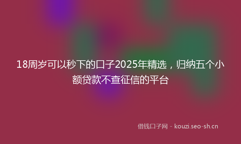 18周岁可以秒下的口子2025年精选，归纳五个小额贷款不查征信的平台