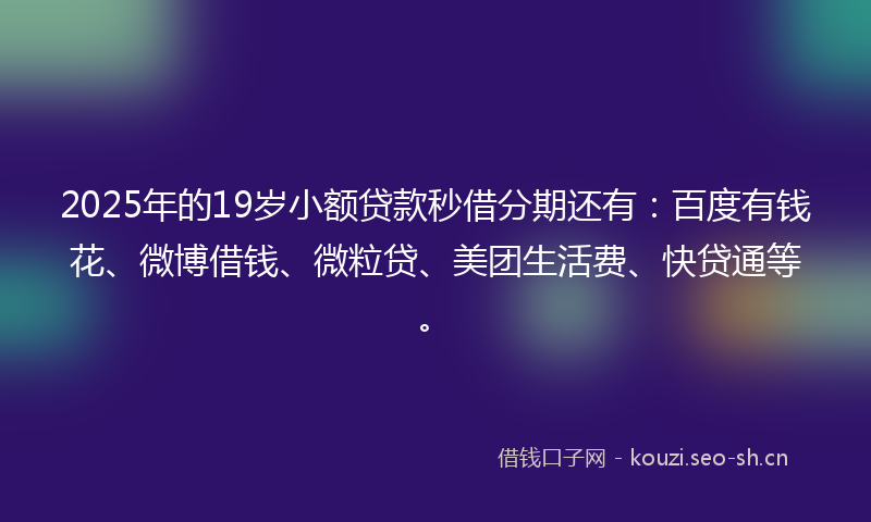 2025年的19岁小额贷款秒借分期还有：百度有钱花、微博借钱、微粒贷、美团生活费、快贷通等。