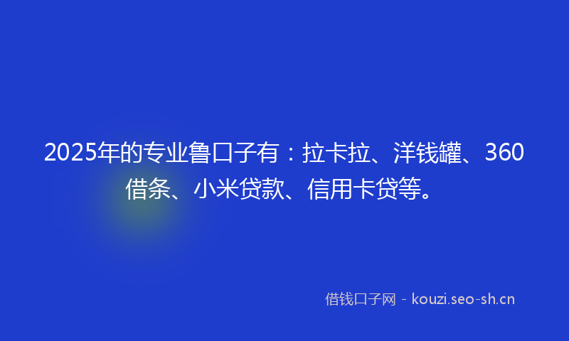 2025年的专业鲁口子有：拉卡拉、洋钱罐、360借条、小米贷款、信用卡贷等。
