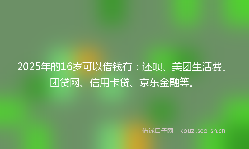 2025年的16岁可以借钱有：还呗、美团生活费、团贷网、信用卡贷、京东金融等。
