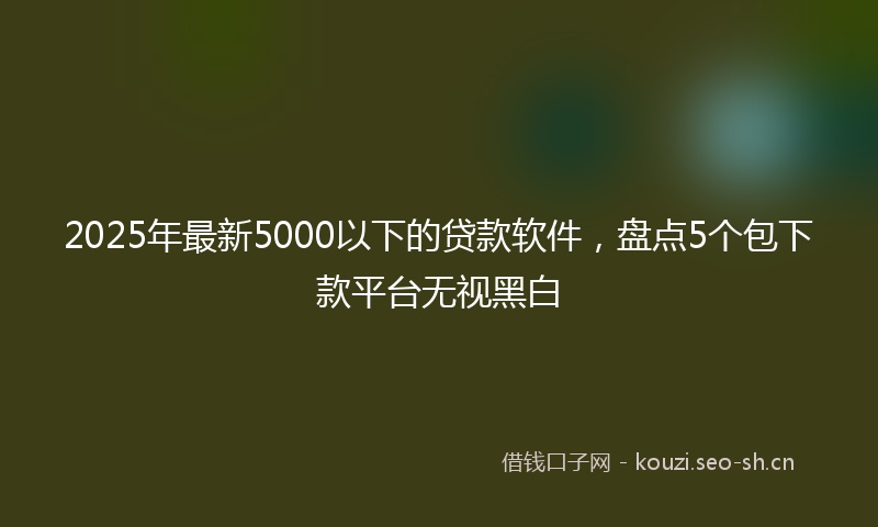 2025年最新5000以下的贷款软件，盘点5个包下款平台无视黑白