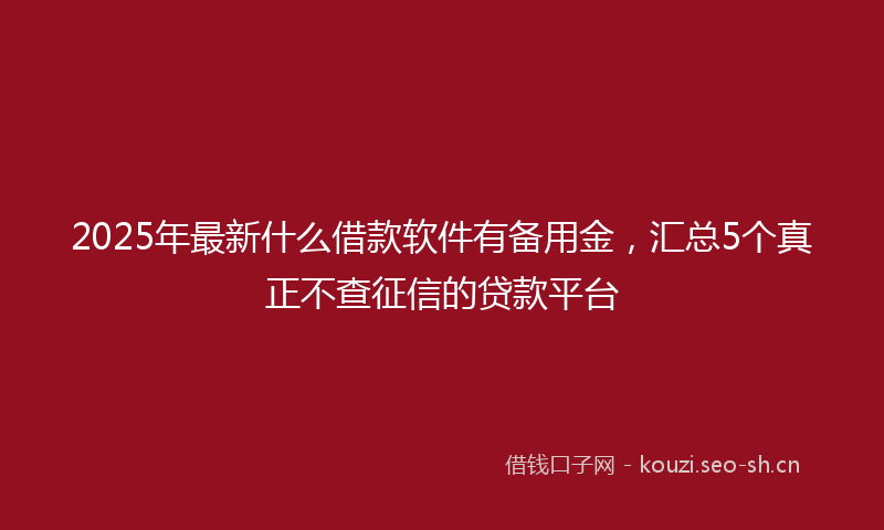2025年最新什么借款软件有备用金，汇总5个真正不查征信的贷款平台