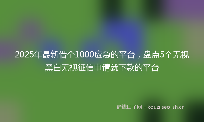 2025年最新借个1000应急的平台，盘点5个无视黑白无视征信申请就下款的平台