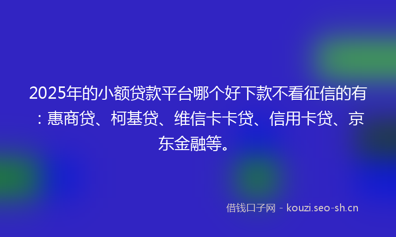 2025年的小额贷款平台哪个好下款不看征信的有：惠商贷、柯基贷、维信卡卡贷、信用卡贷、京东金融等。