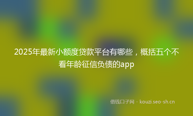 2025年最新小额度贷款平台有哪些，概括五个不看年龄征信负债的app