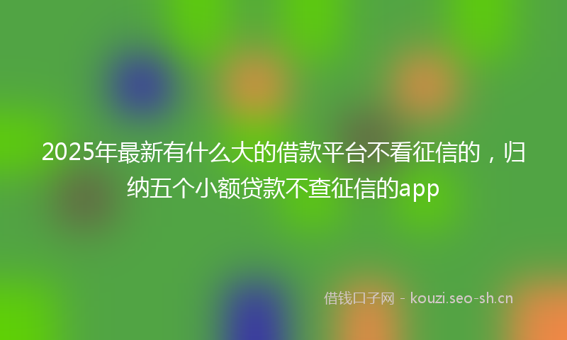 2025年最新有什么大的借款平台不看征信的，归纳五个小额贷款不查征信的app
