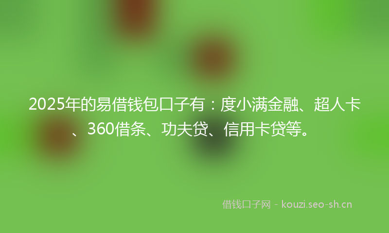 2025年的易借钱包口子有：度小满金融、超人卡、360借条、功夫贷、信用卡贷等。