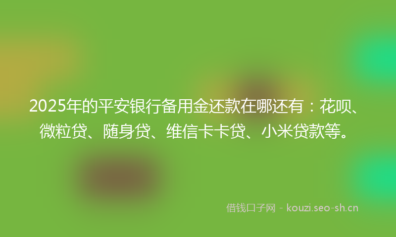 2025年的平安银行备用金还款在哪还有：花呗、微粒贷、随身贷、维信卡卡贷、小米贷款等。