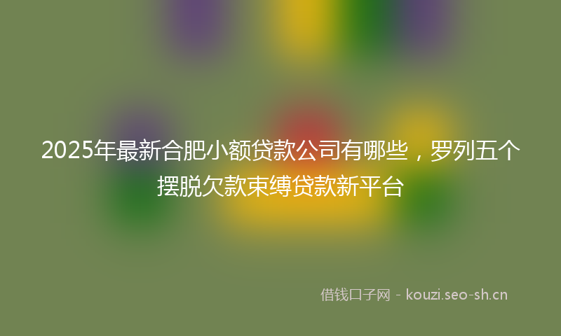 2025年最新合肥小额贷款公司有哪些，罗列五个摆脱欠款束缚贷款新平台