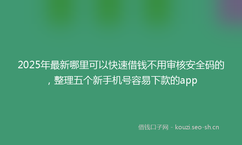 2025年最新哪里可以快速借钱不用审核安全码的，整理五个新手机号容易下款的app