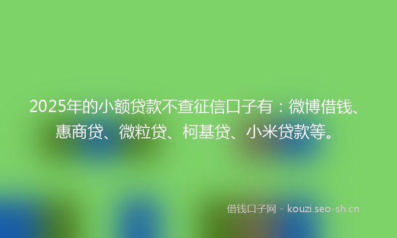 2025年的小额贷款不查征信口子有：微博借钱、惠商贷、微粒贷、柯基贷、小米贷款等。