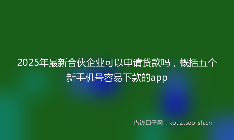 2025年最新合伙企业可以申请贷款吗，概括五个新手机号容易下款的app