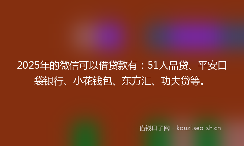 2025年的微信可以借贷款有：51人品贷、平安口袋银行、小花钱包、东方汇、功夫贷等。