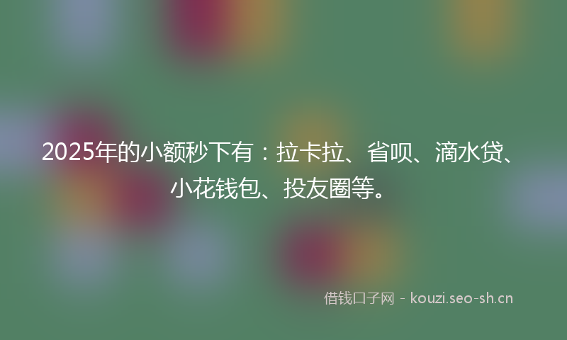 2025年的小额秒下有：拉卡拉、省呗、滴水贷、小花钱包、投友圈等。