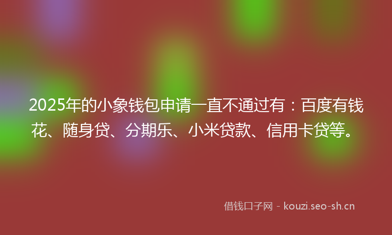 2025年的小象钱包申请一直不通过有：百度有钱花、随身贷、分期乐、小米贷款、信用卡贷等。