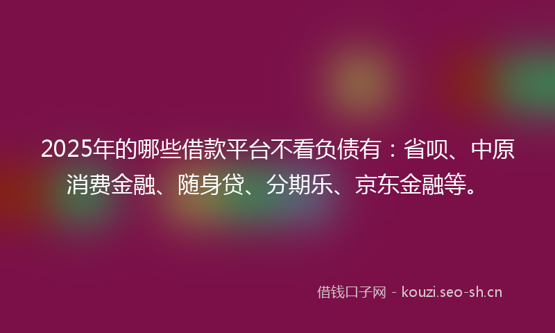 2025年的哪些借款平台不看负债有：省呗、中原消费金融、随身贷、分期乐、京东金融等。
