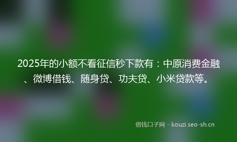 2025年的小额不看征信秒下款有:中原消费金融、微博借钱、随身贷、功夫贷、小米贷款等。