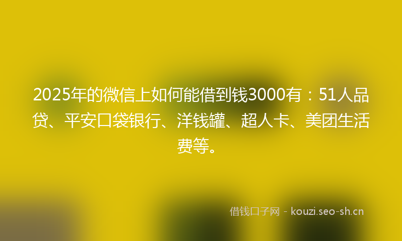 2025年的微信上如何能借到钱3000有：51人品贷、平安口袋银行、洋钱罐、超人卡、美团生活费等。